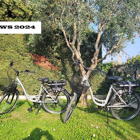 Garda View - Nuovo Appartamento Con Solarium Vista Lago Εξωτερικό φωτογραφία