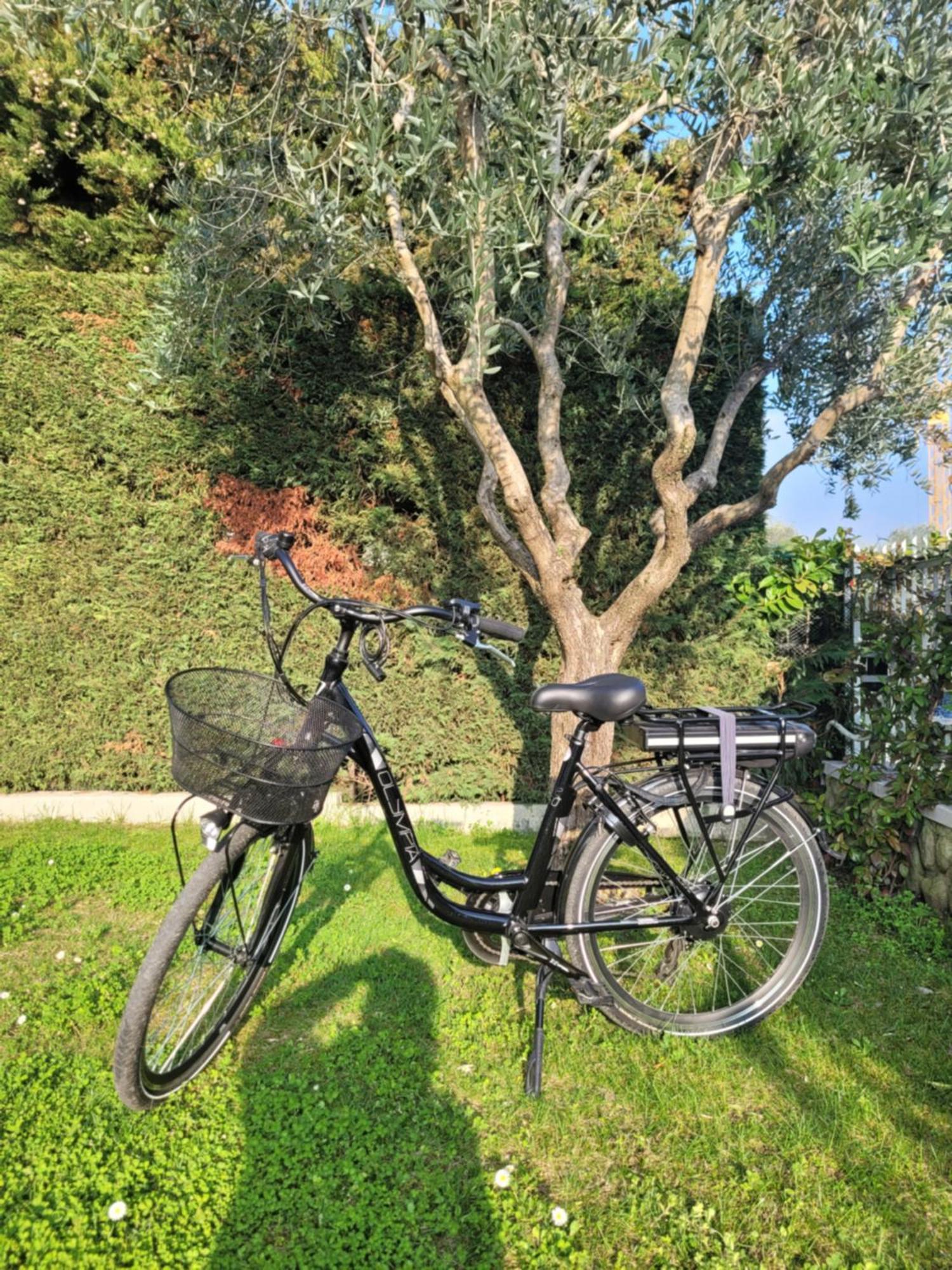 Garda View - Nuovo Appartamento Con Solarium Vista Lago Εξωτερικό φωτογραφία